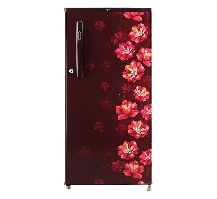 LG 190 Litres 1 Star Direct Cool Single Door Refrigerator with Stabilizer Free Operation (GLB199OSJB.ESJZPST)