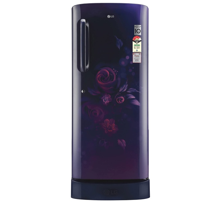 LG 224 L 4 Star Inverter Direct-Cool Single Door Refrigerator Blue Euphoria Base stand with drawer & Smart connect (GLD241ABEY.DBEZEBN)