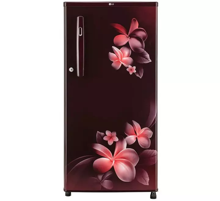 LG 190L 2 Star Direct-Cool Single Door Refrigerator (GL-B199OSPC Scarlet Plumeria Fast Ice Making) (GLB199OSPC)