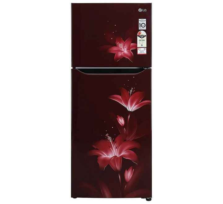 LG 260 Litres 2 Star Double Door Refrigerator (Ruby Glow GLN292BRGY)