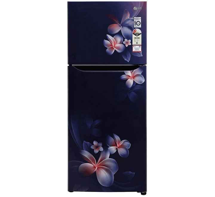 LG 260 Litres 2 Star Blue Plumeria Double Door Refrigerator (GLN292DBPY)