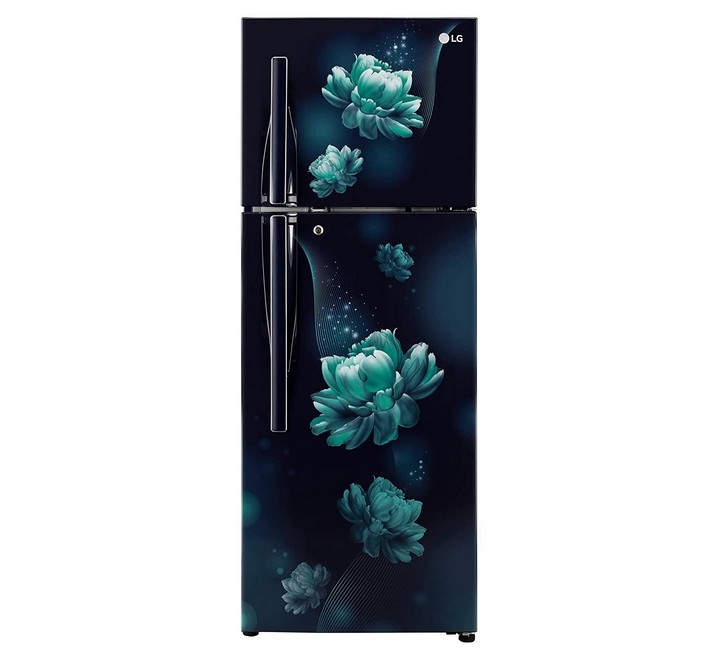 LG 284 L 3 Star Inverter Linear Frost-Free Double Door Refrigerator (GLS302RBCX)