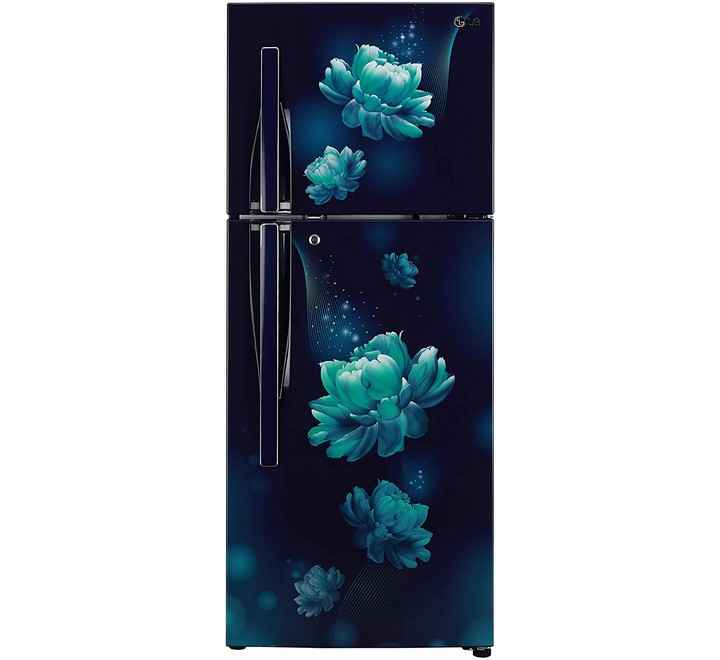 LG 260 L 2 Star Smart Inverter Double Door Refrigerator (GLT292RBCY)