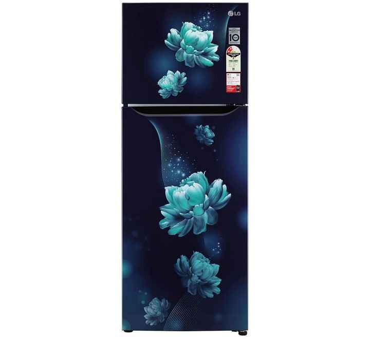 LG 284 Litre ConvertiblePLUS Fridge with Smart Inverter Compressor Double Door Refrigerator (GL-T302SBCY)