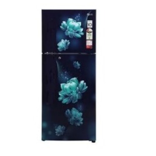 LG 242 Litres 2 Star Smart Inverter Compressor Double Door Refrigerator(GLN292BBCY.DBCZEBN)Blue Charm 