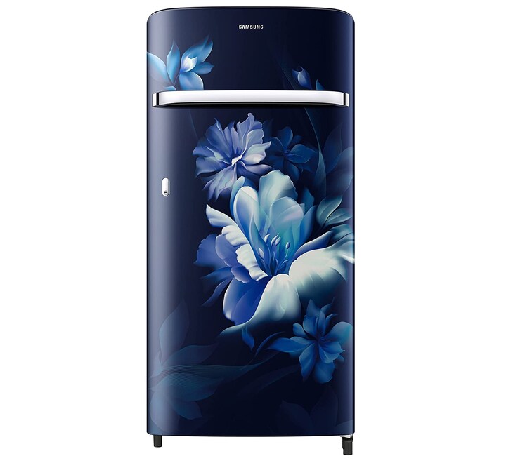 Samsung 189L 5 Star Inverter Direct-Cool Single Door Refrigerator (RR21C2G25UZ)