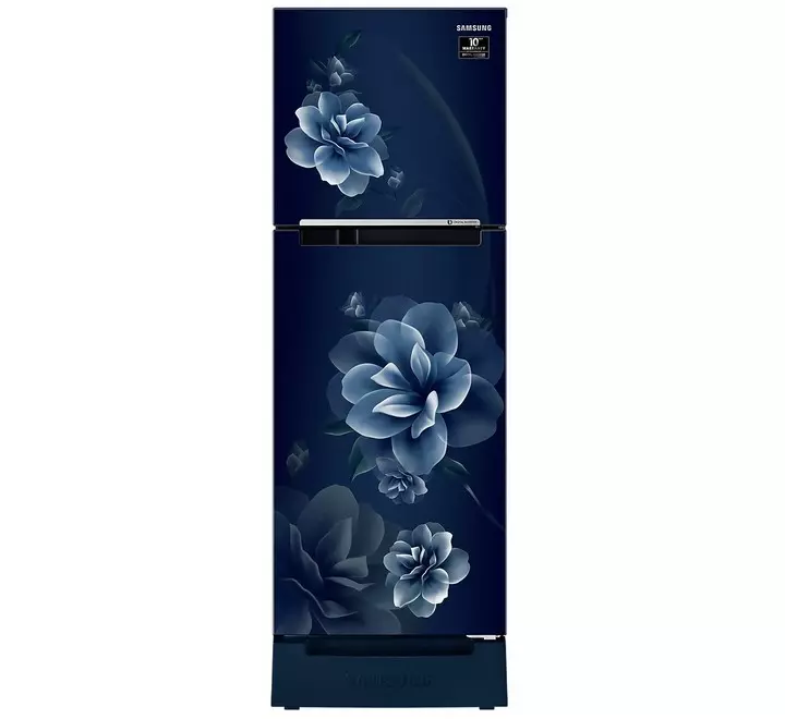 Samsung 253 liters 2 Star Double Door Refrigerator Camellia Blue RT28B3122CU/HL